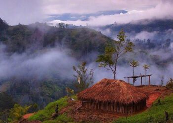 Solusi Sistemik untuk Papua