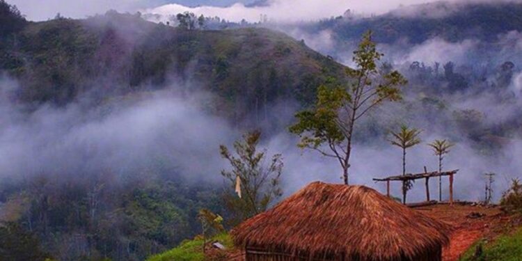 Solusi Sistemik untuk Papua