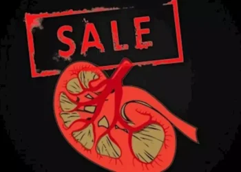 Situs Jual Organ, Cara Cepat Cari Uang