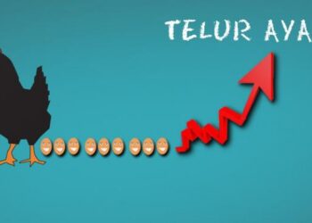 Wajarkah Harga Telur Terus Menanjak?