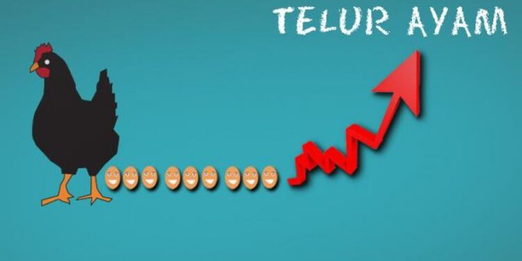 Wajarkah Harga Telur Terus Menanjak?