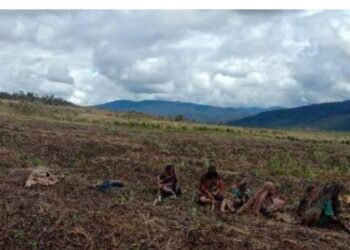 Bagaikan Ayam Mati Di Lumbung Padi…