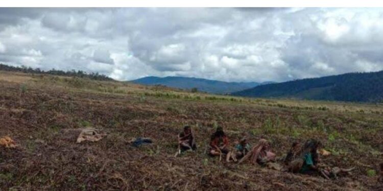 Bagaikan Ayam Mati Di Lumbung Padi…