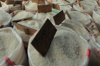 Stok Beras Aman, Mengapa Harganya Terus Mencetak Rekor?