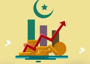 Gagasan Komite Ekonomi Global, Kepalang Basah Mandi Sekalian
