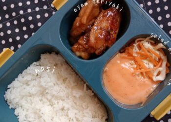 Menakar Program Makan Bergizi Gratis
