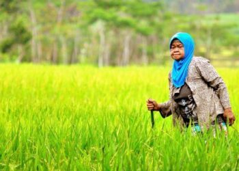 Jihad Ekonomi Untuk Palestina, Haruskah?