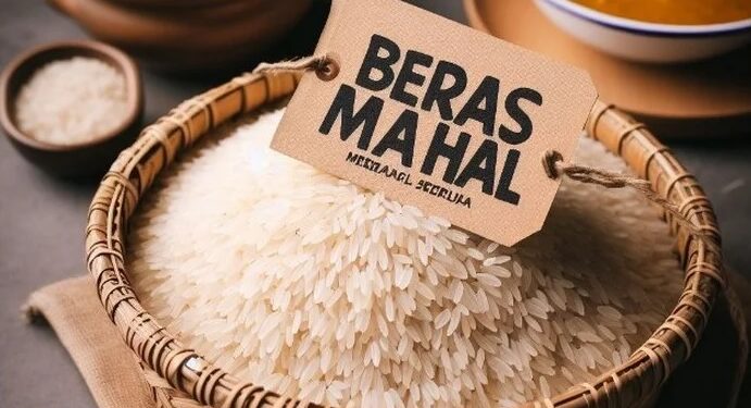 Harga beras mahal