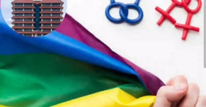LGBT Bagian dari Keragaman; Bukti Cacatnya Pemikiran 